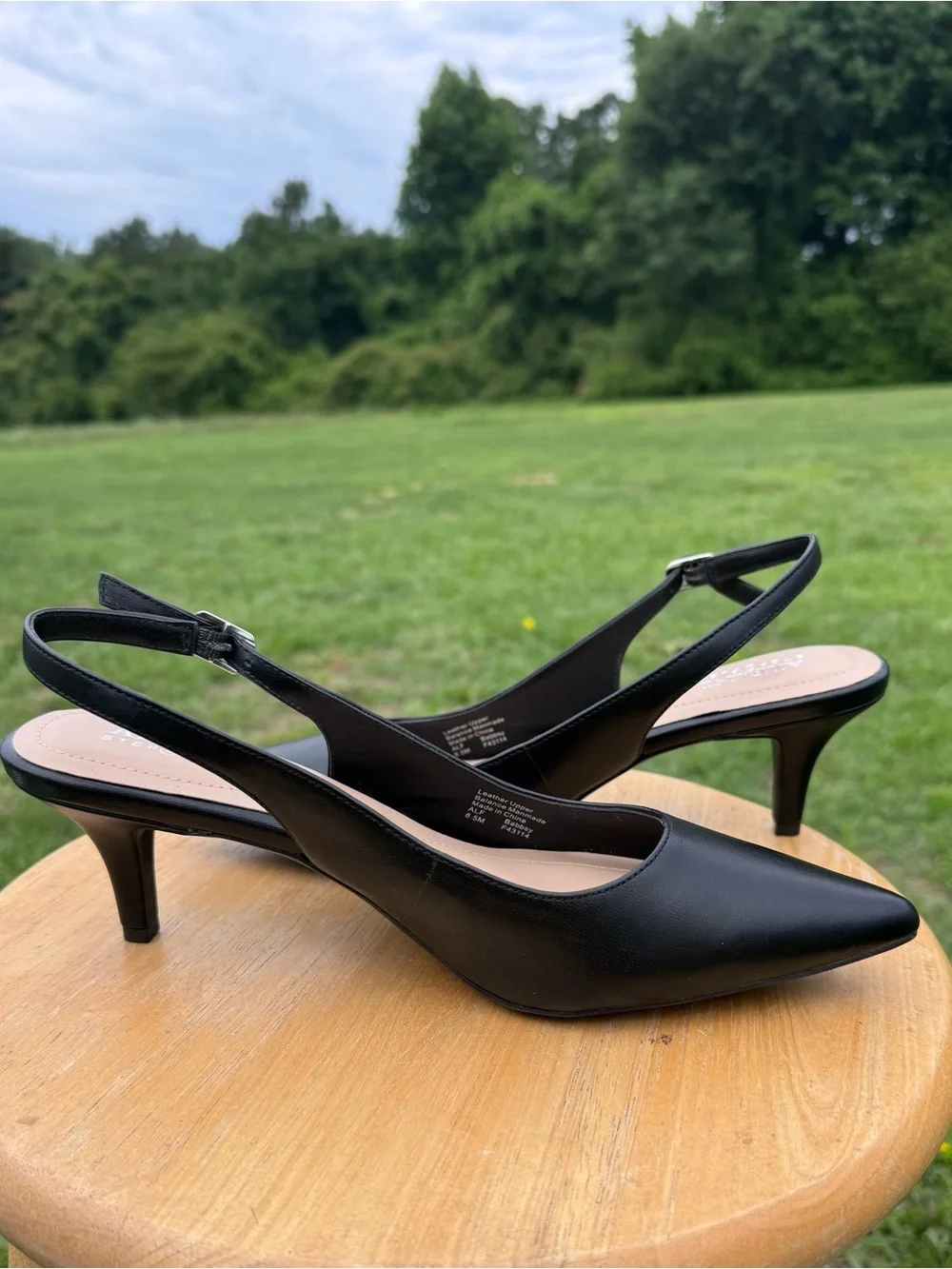 Ladies Alfani Black Pointed-Toe Slingback Pumps